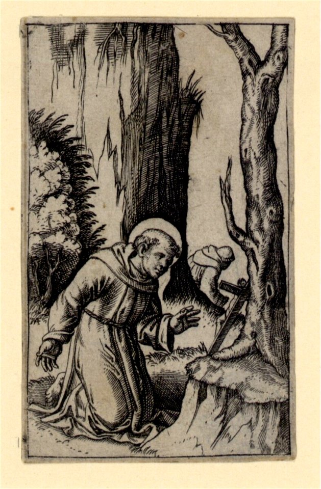 Raimondi - Heiliger Franz von Assisi, DG1970368