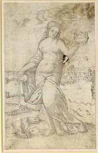 Raimondi - Frau, eine Pflanze gießend, DG1952317
