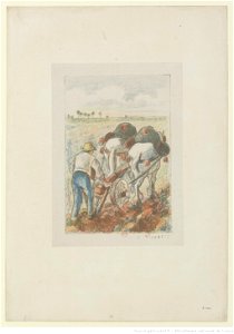 Pissarro - La charrue, (frontispice pour Les Temps nouveaux), 3e état, btv1b6955300t