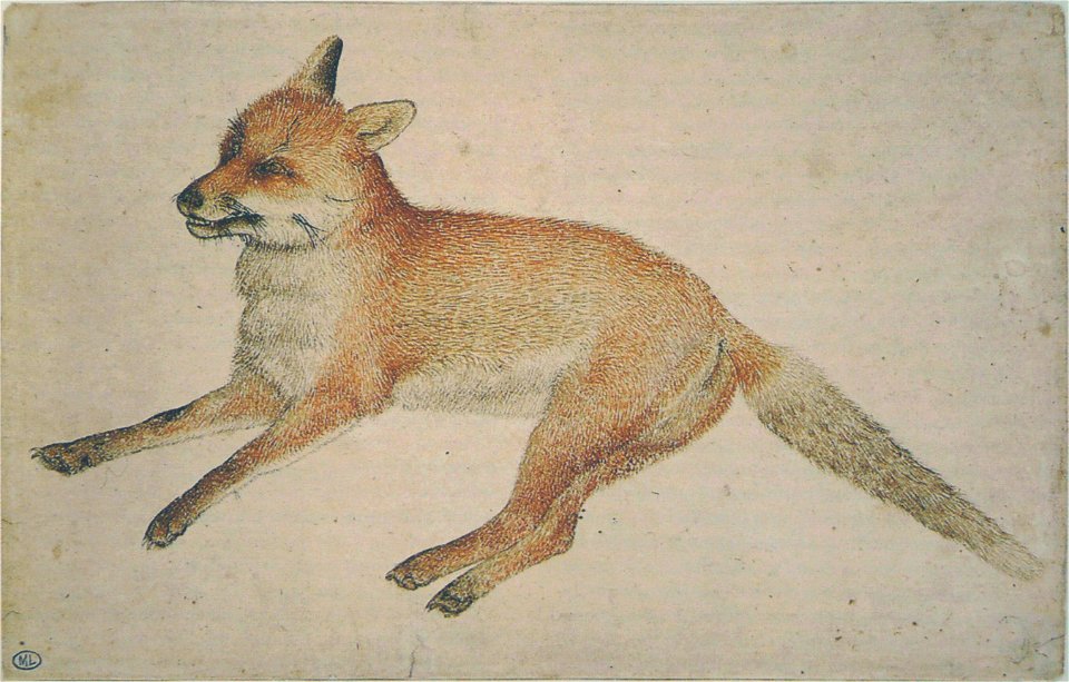 Pisanello - Codex Vallardi 2423