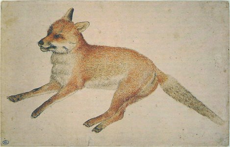 Pisanello - Codex Vallardi 2423