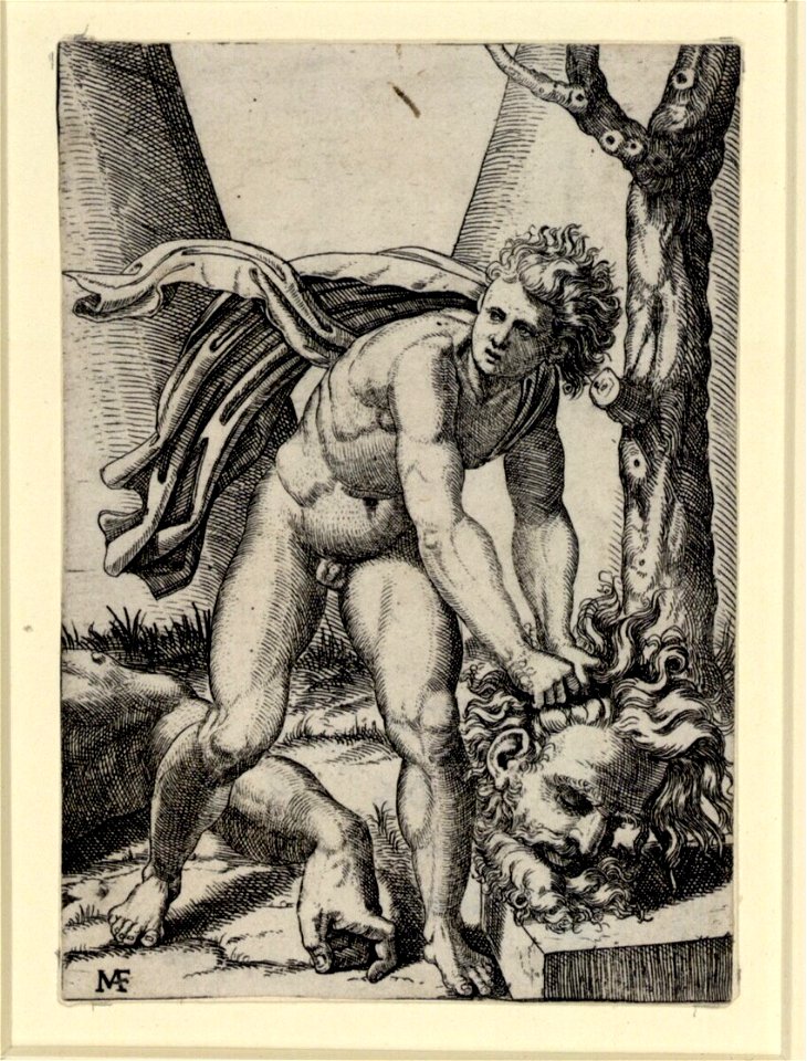 Raimondi - David mit dem Haupt des Goliath, DG1970262