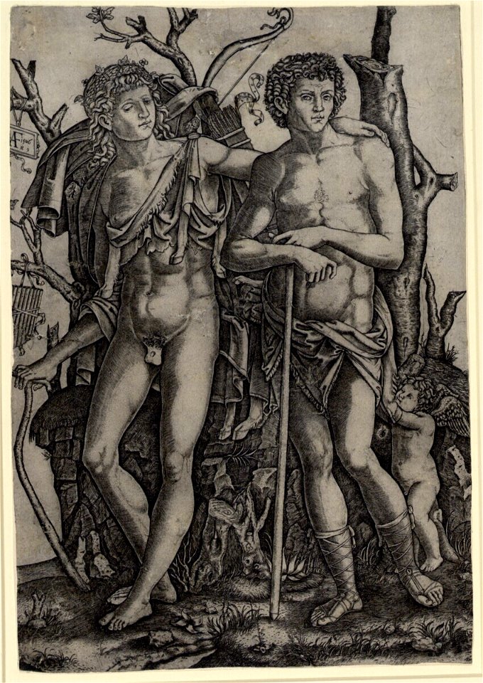 Raimondi - Apoll und Hyacinth, DG1971358