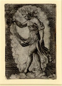 Raimondi - Diana, DG1970444