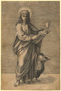 Raimondi - Johannes, DG1970308