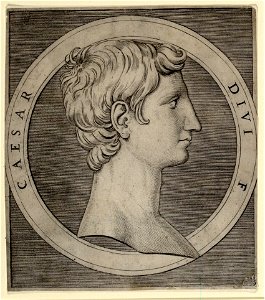 Raimondi - Octavian, DG1971447
