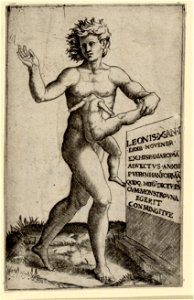 Raimondi - Junger Mann mit zwei Körpern, DG1971424