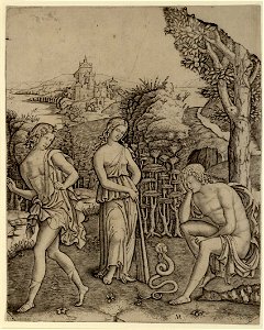 Raimondi - Eine Schlange spricht zu einem jungen Mann, DG1971402