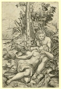 Raimondi - Venus und Adonis, DG201736768