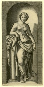 Raimondi - Fortitudo, DG201736753