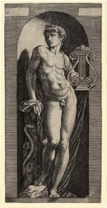 Raimondi - Apollo, DG1971347