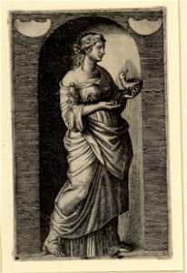 Raimondi - Muse, DG1970459