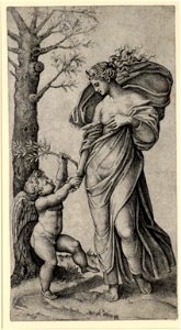 Raimondi - Pax, DG1971400