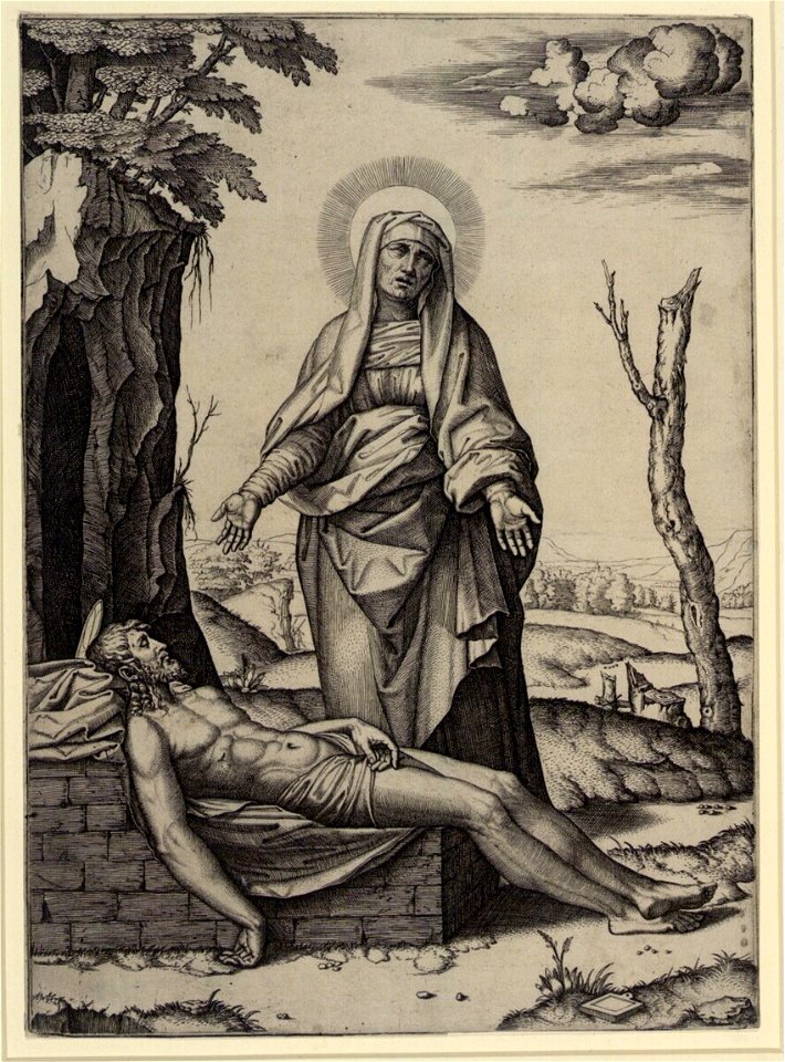 Raimondi - Pietà, DG1970284