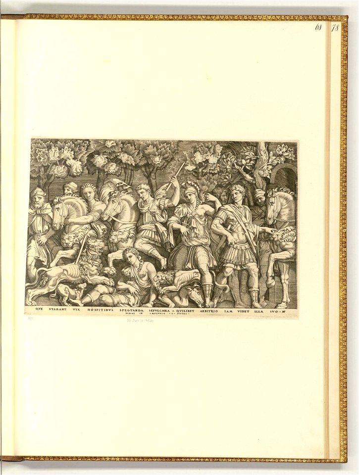 Raimondi - Löwenjagd, ItI2068