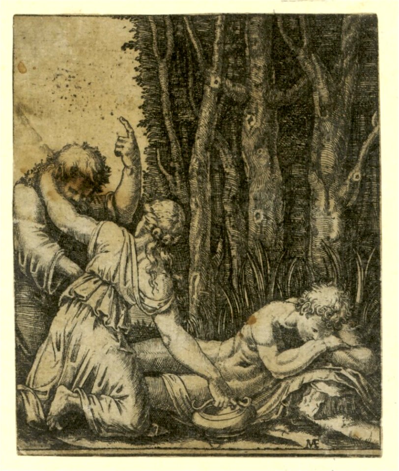 Raimondi - Schlafender Mann am Waldrand, DG201736761