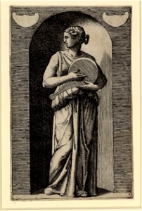 Raimondi - Muse, DG1970452