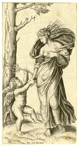 Raimondi - Pax, DG201737017