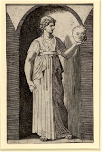 Raimondi - Muse, DG1970453