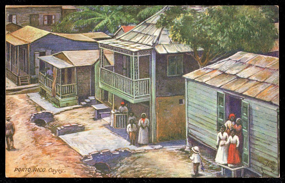 Porto Rico Cayey. (NBY 440640)