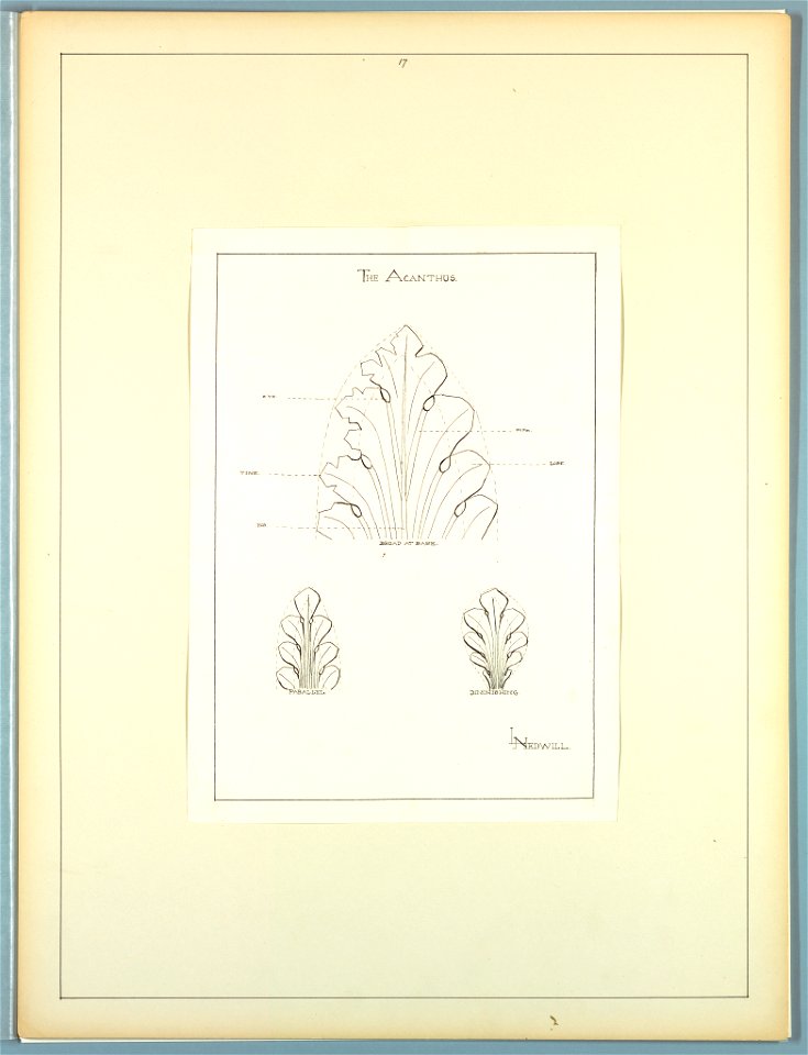 Portfolio, Historic Ornament, ca. 1900 (CH 18649679)