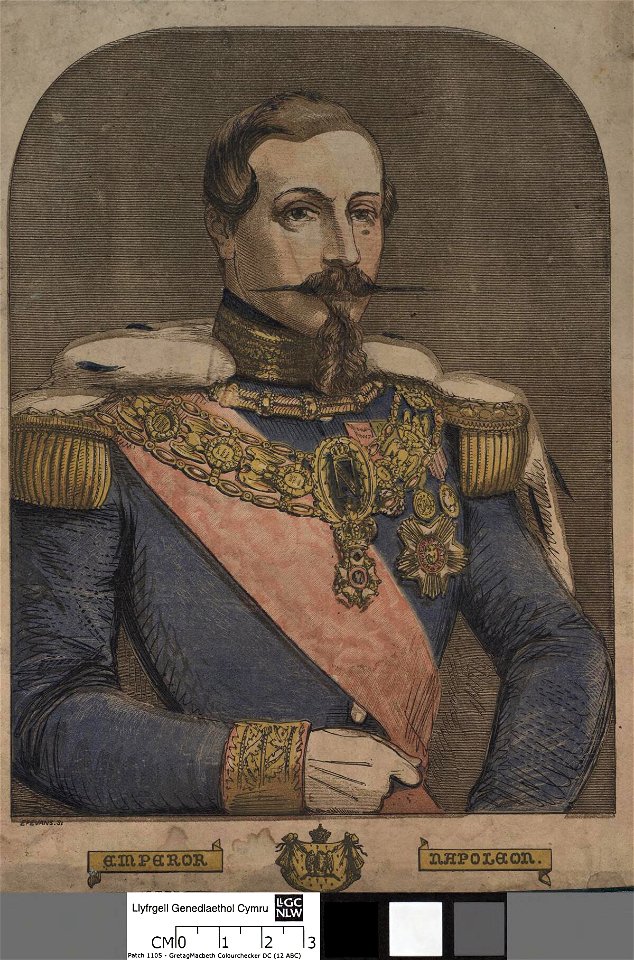 Portrait of Napoleon (4670214)