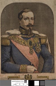 Portrait of Napoleon (4670214)