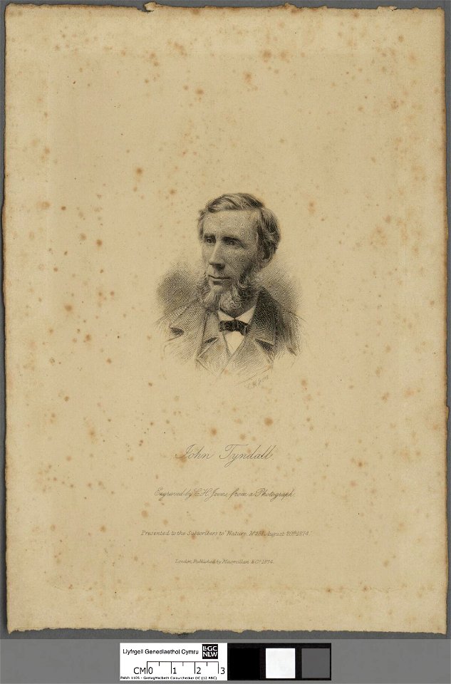 Portrait of John Tyndall (4672096)
