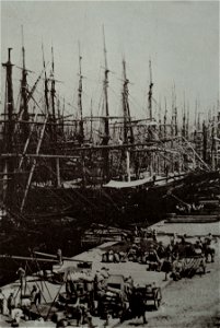 Port de Marseille 1855 Adolphe Braun