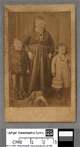 Portrait of Mary Davies (4669995)