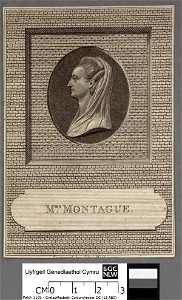 Portrait of Mrs. Montague (4672964)