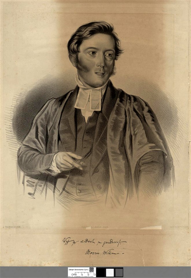 Portrait of Morris Williams (4674646)