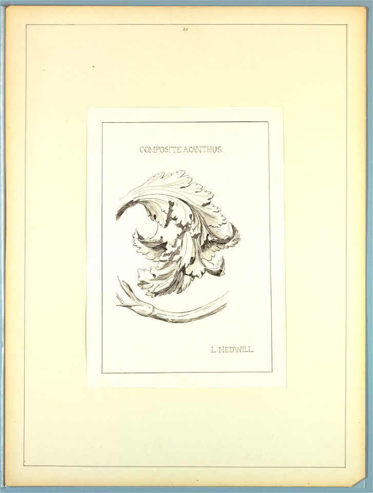 Portfolio, Historic Ornament, ca. 1900 (CH 18649677)