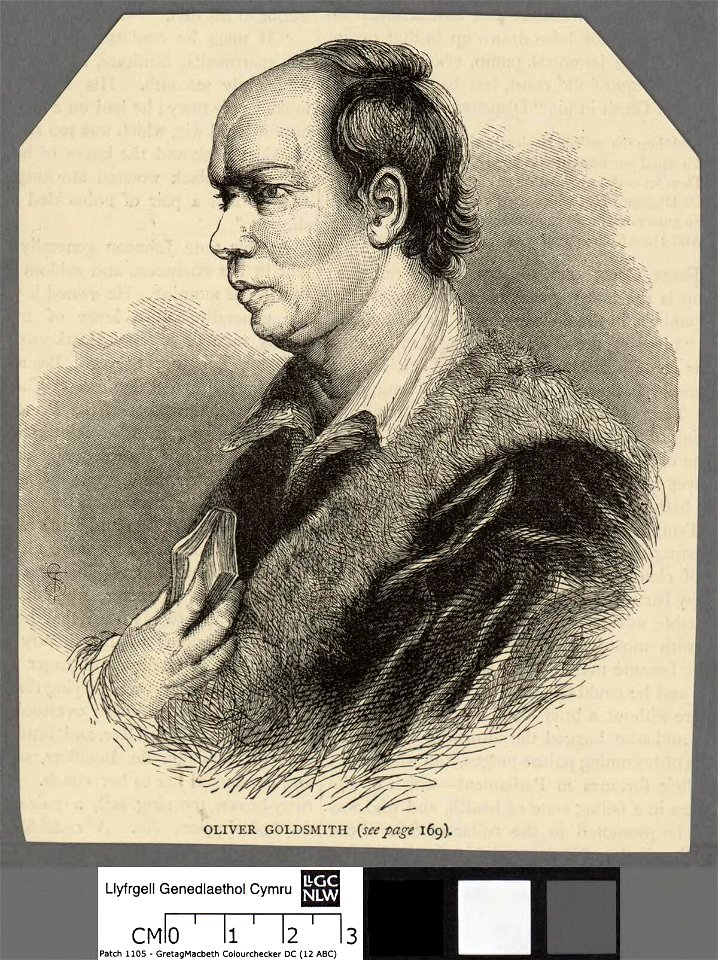 Portrait of Oliver Goldsmith (4672507)