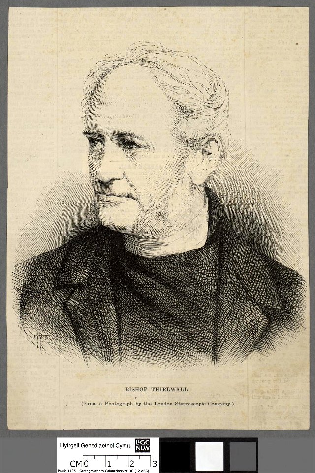 Portrait of Mr. David Thomas, Eryri (4673483)