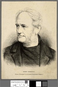 Portrait of Mr. David Thomas, Eryri (4673483)