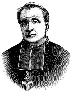 Portrait du cardinal Boyer archevêque de Bourges