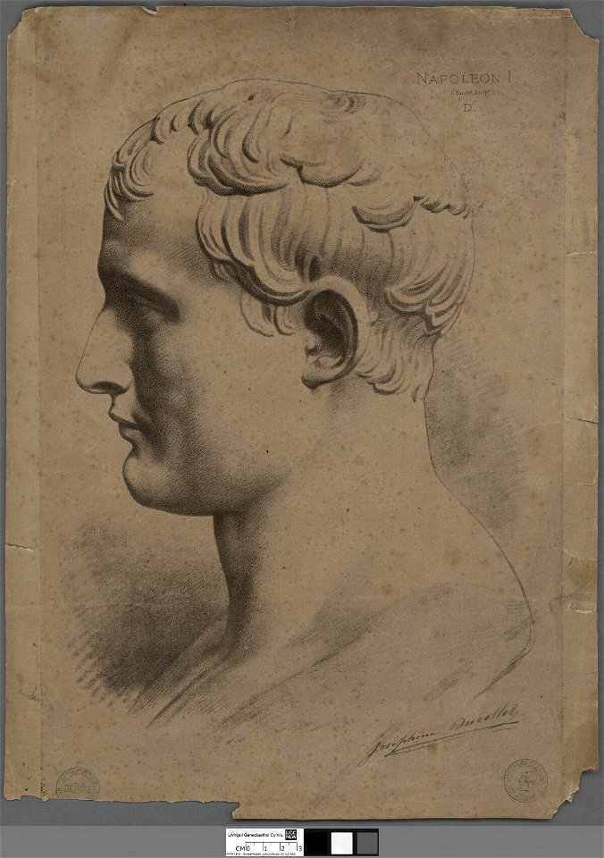 Portrait of Napoleon I (4671100)