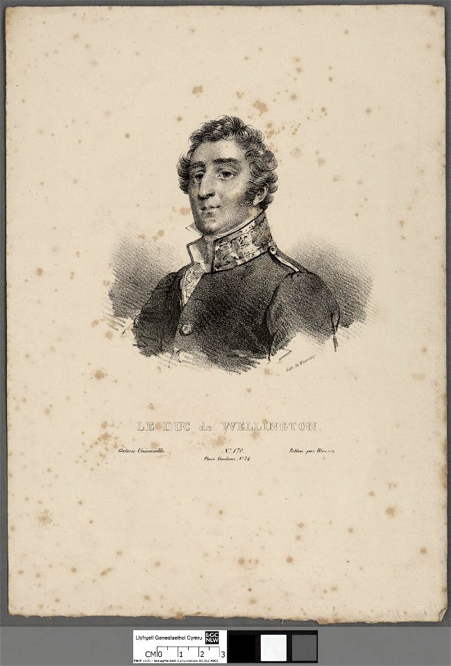 Portrait of Le Duc de Wellington (4672136)