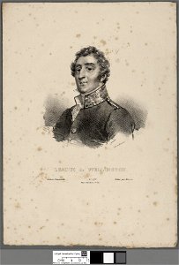 Portrait of Le Duc de Wellington (4672136)