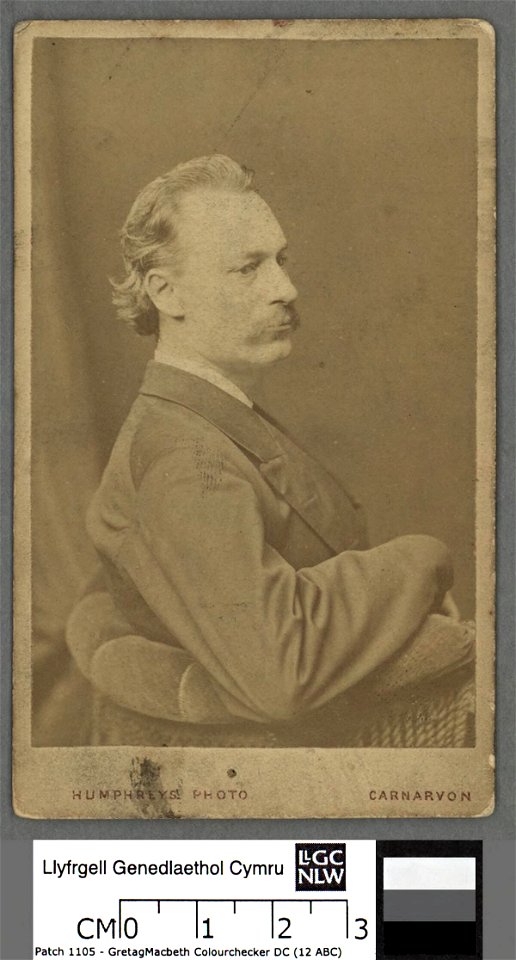 Portrait of L. W. Lewis 'Llew Llwyfo' (4670381)