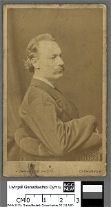 Portrait of L. W. Lewis 'Llew Llwyfo' (4670381)