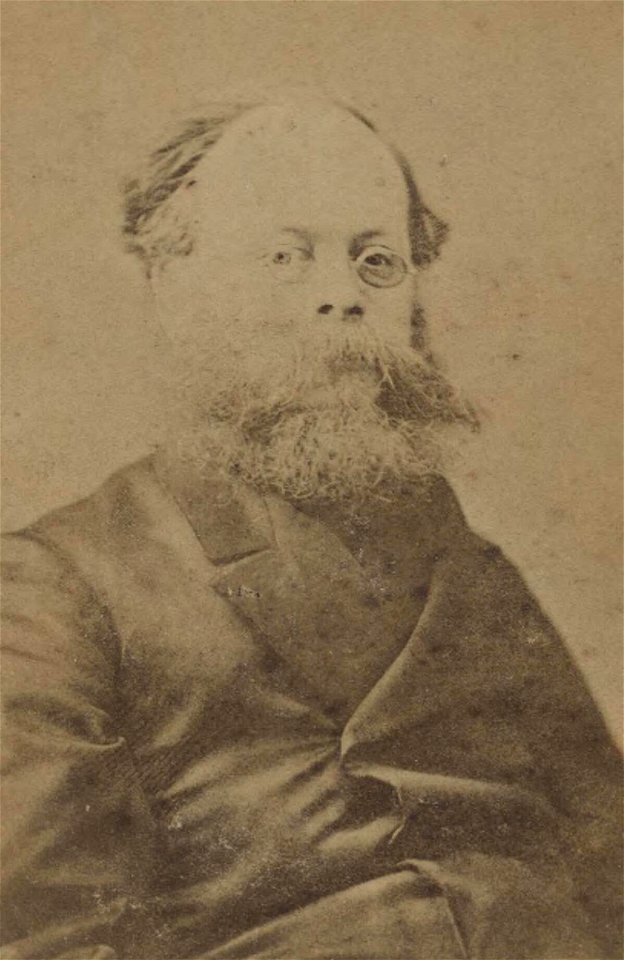 Portrait of Mr. Plimsoll, M.P (4670444)
