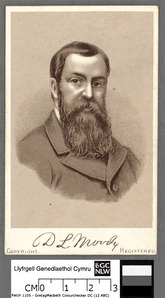 Portrait of Moody (4672967)