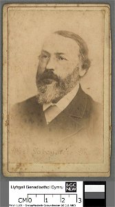 Portrait of Mr. Labouchere (4670372)
