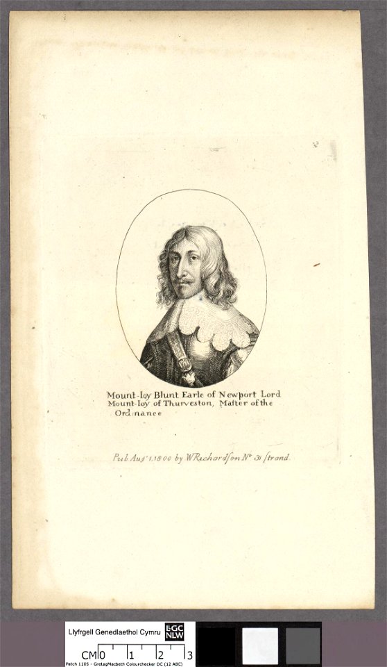 Portrait of Mount-Joy Blunt, Earle of Newport, Lord Mount-Joy of Thurveston, Master of the Ordinance (4674039)