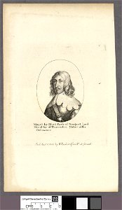 Portrait of Mount-Joy Blunt, Earle of Newport, Lord Mount-Joy of Thurveston, Master of the Ordinance (4674039)