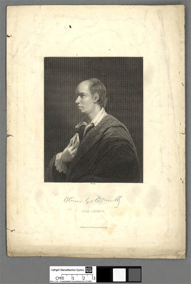 Portrait of Oliver Goldsmith (4670776)
