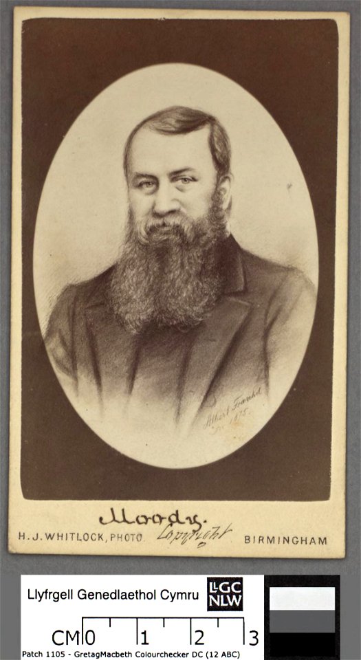 Portrait of Moody (4672642)