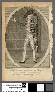 Portrait of Mrs. Goddall as Sir Harry Wildair (4672884)